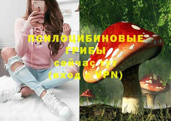 МДМА Лабытнанги