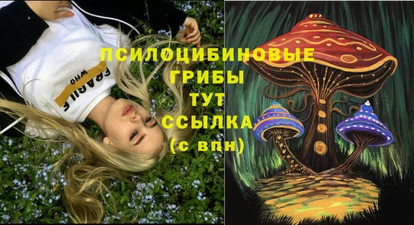 мдма Инсар